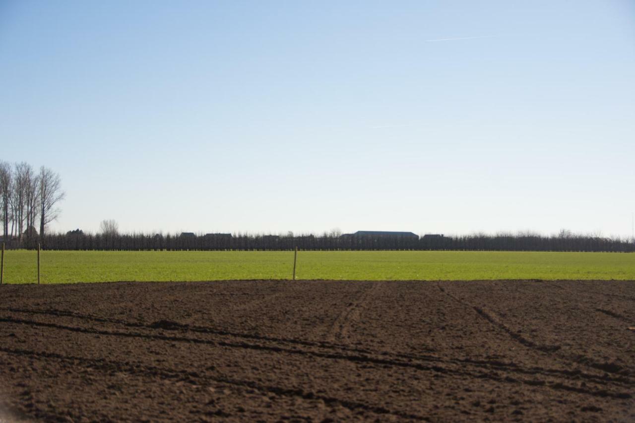 'Op De Borgt' Met Finse Grill Kota Villa Wellen Exteriör bild